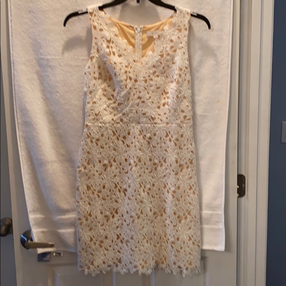 Loft Lace dress